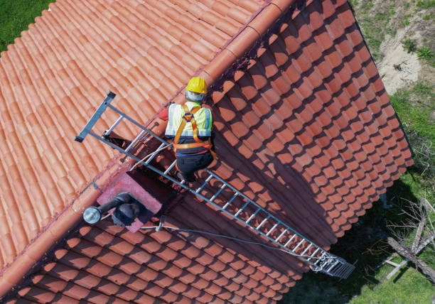 Best Gutter Installation and Repair  in Ome, GA